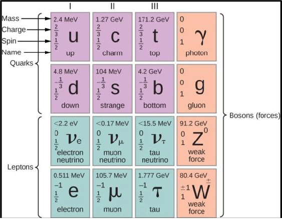 elementary particles chart