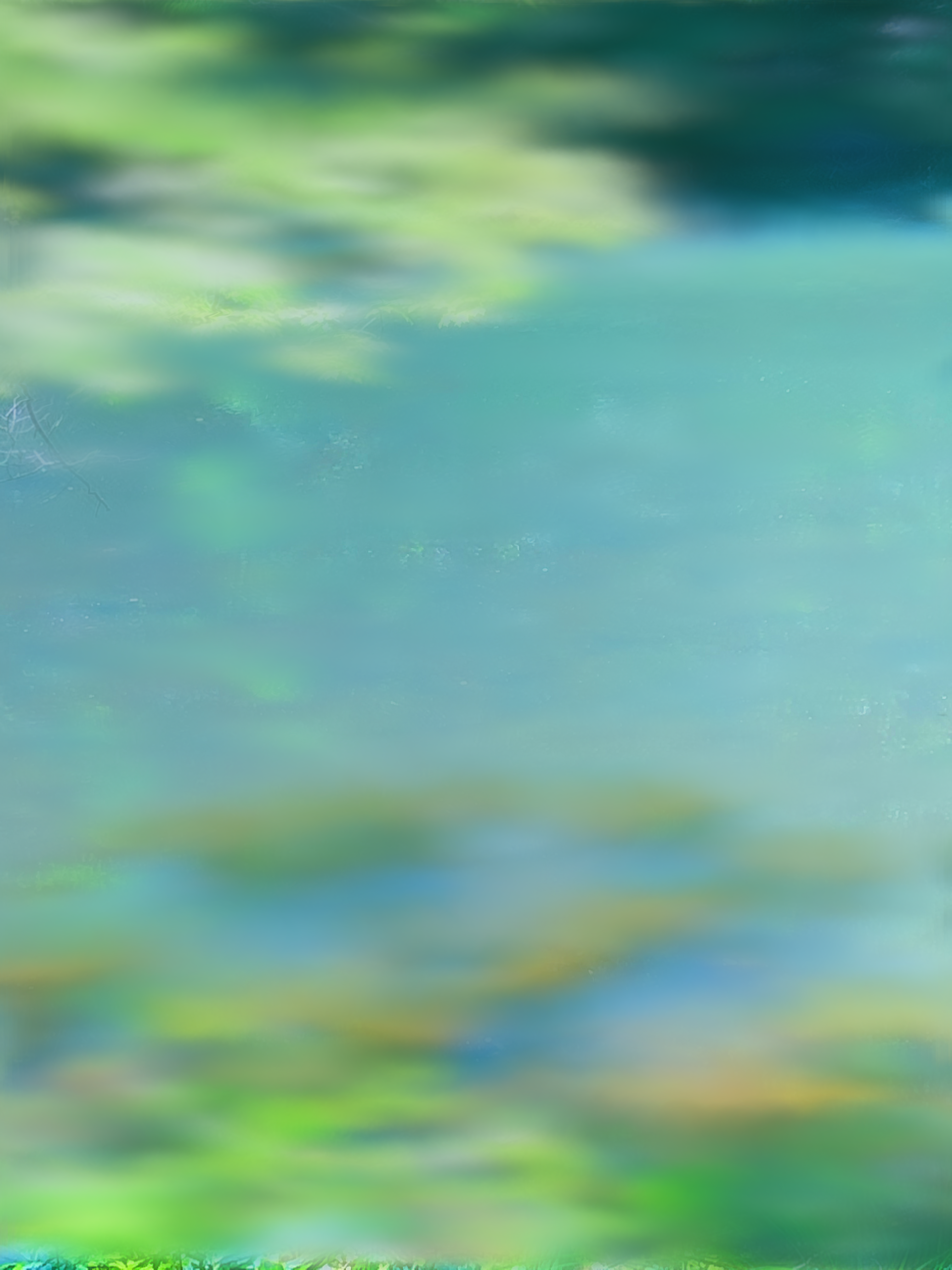 blurry image of foliage against water, shades of light blue and green